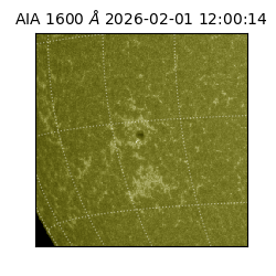 saia - 2026-02-01T12:00:14.125000