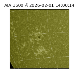 saia - 2026-02-01T14:00:14.126000