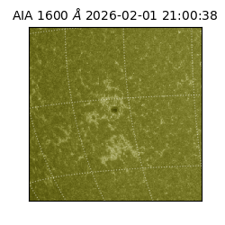 saia - 2026-02-01T21:00:38.129000