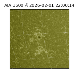 saia - 2026-02-01T22:00:14.132000