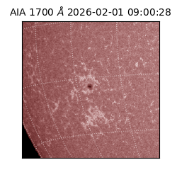 saia - 2026-02-01T09:00:28.717000