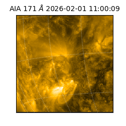 saia - 2026-02-01T11:00:09.352000