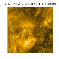 saia - 2026-02-01T13:00:09.353000