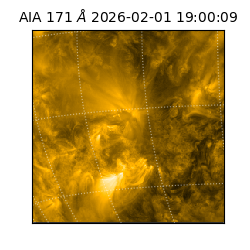 saia - 2026-02-01T19:00:09.352000