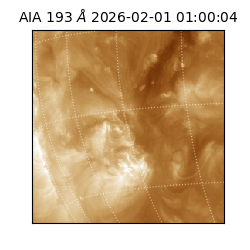 saia - 2026-02-01T01:00:04.843000