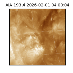 saia - 2026-02-01T04:00:04.843000