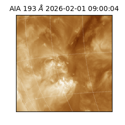 saia - 2026-02-01T09:00:04.843000