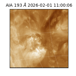 saia - 2026-02-01T11:00:06.614000