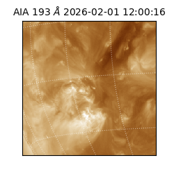 saia - 2026-02-01T12:00:16.835000