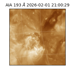 saia - 2026-02-01T21:00:29.627000