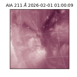 saia - 2026-02-01T01:00:09.624000