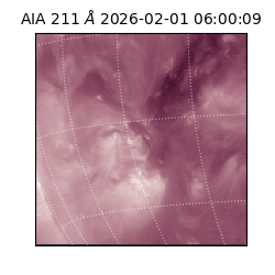 saia - 2026-02-01T06:00:09.623000