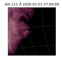 saia - 2026-02-01T07:00:09.633000