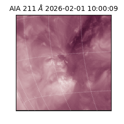 saia - 2026-02-01T10:00:09.622000