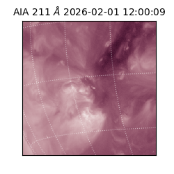 saia - 2026-02-01T12:00:09.633000