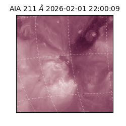 saia - 2026-02-01T22:00:09.625000