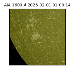 saia - 2026-02-01T01:00:14.134000