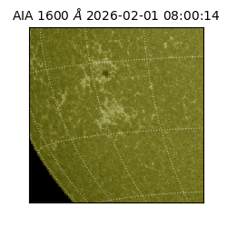 saia - 2026-02-01T08:00:14.118000