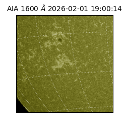 saia - 2026-02-01T19:00:14.126000