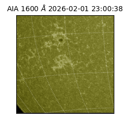 saia - 2026-02-01T23:00:38.126000