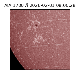 saia - 2026-02-01T08:00:28.710000