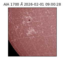 saia - 2026-02-01T09:00:28.717000