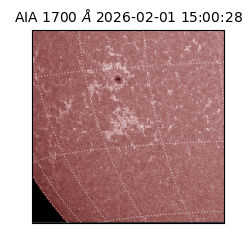 saia - 2026-02-01T15:00:28.717000