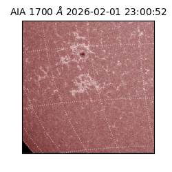 saia - 2026-02-01T23:00:52.717000