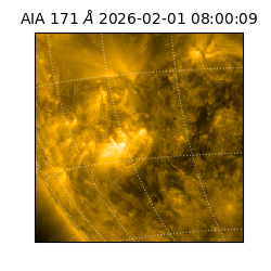 saia - 2026-02-01T08:00:09.342000