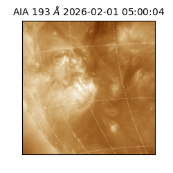 saia - 2026-02-01T05:00:04.843000