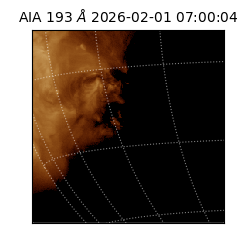 saia - 2026-02-01T07:00:04.843000