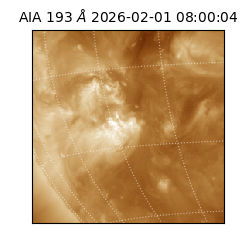 saia - 2026-02-01T08:00:04.835000