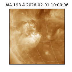 saia - 2026-02-01T10:00:06.939000