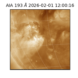 saia - 2026-02-01T12:00:16.835000