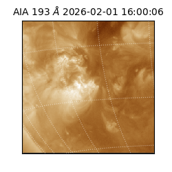 saia - 2026-02-01T16:00:06.780000