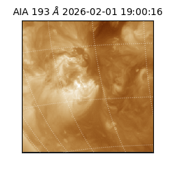 saia - 2026-02-01T19:00:16.843000