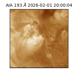 saia - 2026-02-01T20:00:04.843000
