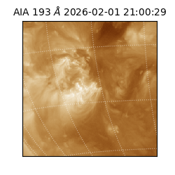 saia - 2026-02-01T21:00:29.627000