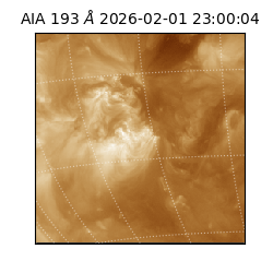 saia - 2026-02-01T23:00:04.843000