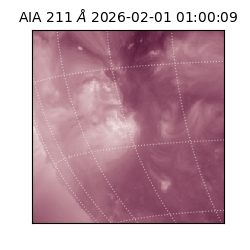 saia - 2026-02-01T01:00:09.624000