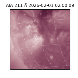 saia - 2026-02-01T02:00:09.632000