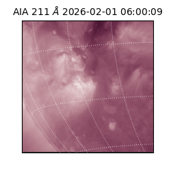 saia - 2026-02-01T06:00:09.623000