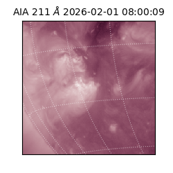 saia - 2026-02-01T08:00:09.618000