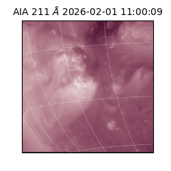 saia - 2026-02-01T11:00:09.632000