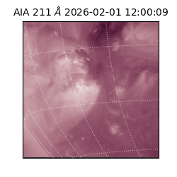 saia - 2026-02-01T12:00:09.633000