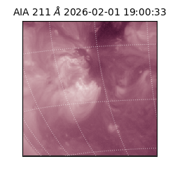 saia - 2026-02-01T19:00:33.626000