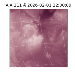 saia - 2026-02-01T22:00:09.625000