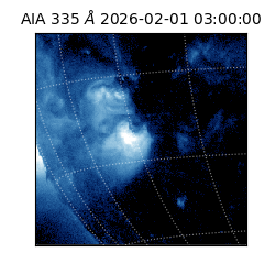 saia - 2026-02-01T03:00:00.629000