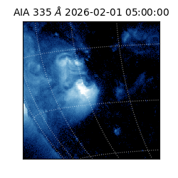 saia - 2026-02-01T05:00:00.625000