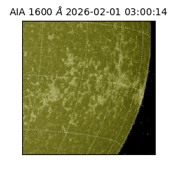 saia - 2026-02-01T03:00:14.125000